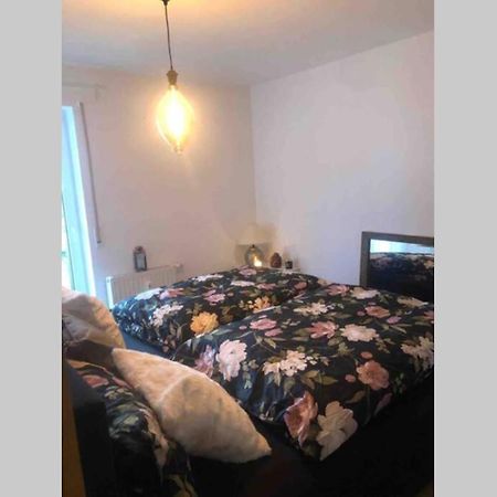 Apartmán Sonnenoase Gufi Gundelfingen  Exteriér fotografie