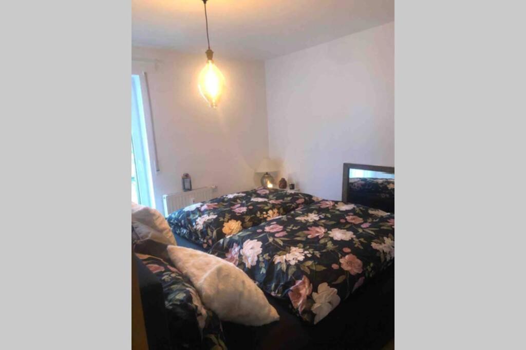 Apartmán Sonnenoase Gufi Gundelfingen  Exteriér fotografie